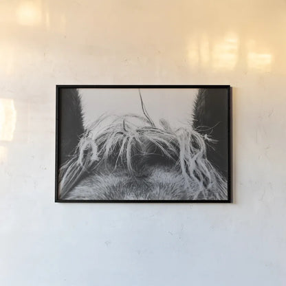 Horse Study II by Nathan Larson. shown as a paper print in a black flame. Available as a archival giclee rolled canvas, fine art paper, or poster print. SKU 86414i.