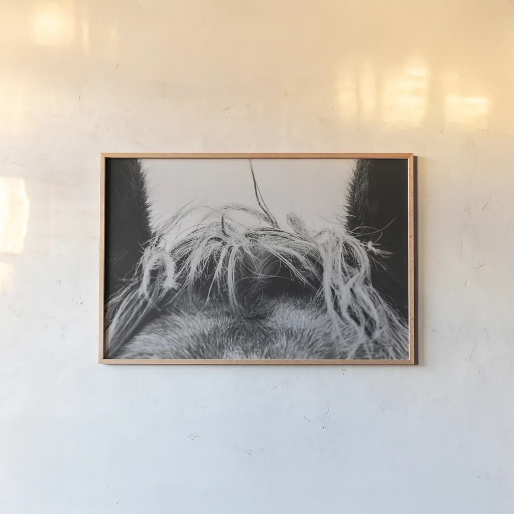 Horse Study II by Nathan Larson. shown as a paper print in a natural frame. Available as a archival giclee rolled canvas, fine art paper, or poster print. SKU 86414i.