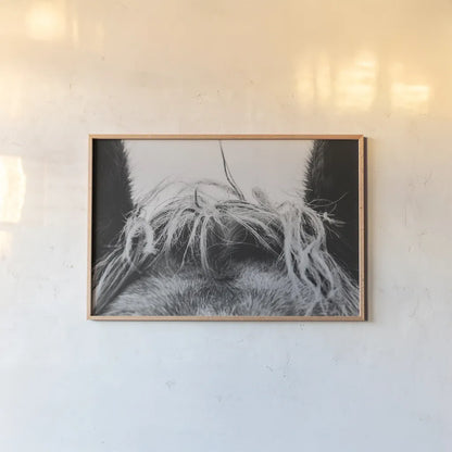 Horse Study II by Nathan Larson. shown as a paper print in a natural frame. Available as a archival giclee rolled canvas, fine art paper, or poster print. SKU 86414i.