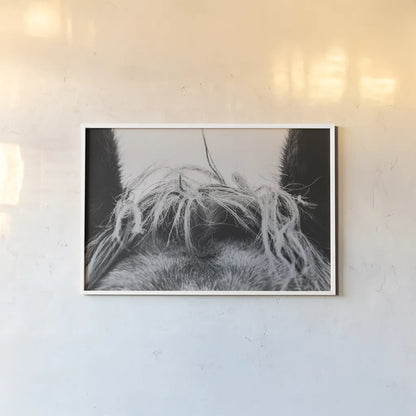 Horse Study II by Nathan Larson. shown as a paper print in a white frame. Available as a archival giclee rolled canvas, fine art paper, or poster print. SKU 86414i.