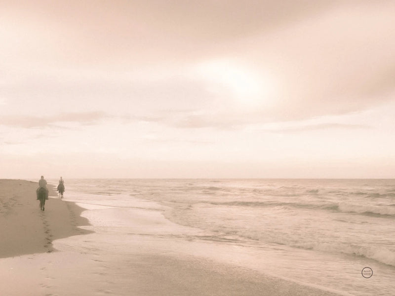 Horses on the Beach by Nathan Larson