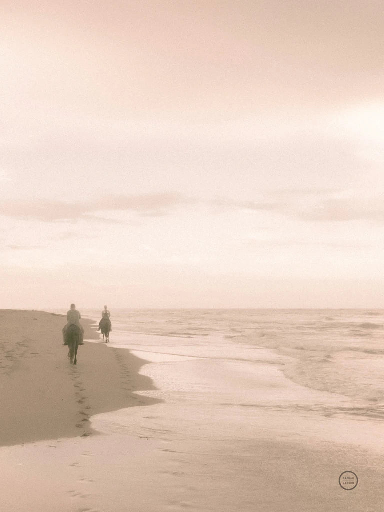 Horses on the Beach Crop by Nathan Larson