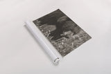 Hungry Bear Sepia by Nathan Larson. shown as a rolled paper print. Available as archival giclee rolled canvas, fine art paper, or poster print. SKU 100757i.