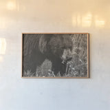 Hungry Bear Sepia by Nathan Larson. shown as a paper print in a natural frame. Available as a archival giclee rolled canvas, fine art paper, or poster print. SKU 100757i.