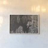 Hungry Bear Sepia by Nathan Larson. shown as a paper print in a white frame. Available as a archival giclee rolled canvas, fine art paper, or poster print. SKU 100757i.