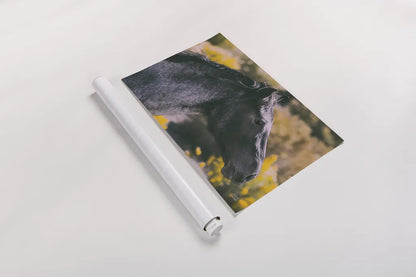 In a Field of Yellow by Nathan Larson. shown as a rolled paper print. Available as archival giclee rolled canvas, fine art paper, or poster print. SKU 96204i.