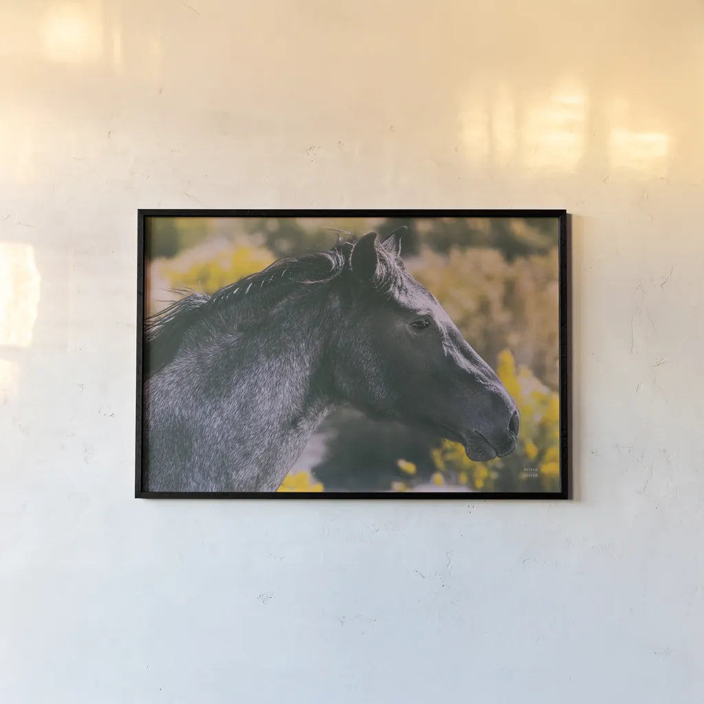 In a Field of Yellow by Nathan Larson. shown as a paper print in a black flame. Available as a archival giclee rolled canvas, fine art paper, or poster print. SKU 96204i.