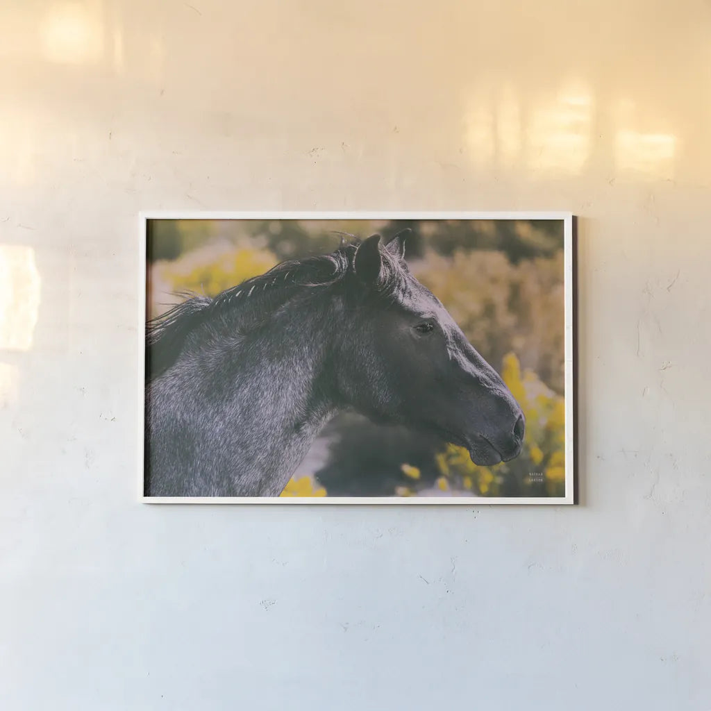 In a Field of Yellow by Nathan Larson. shown as a paper print in a white frame. Available as a archival giclee rolled canvas, fine art paper, or poster print. SKU 96204i.