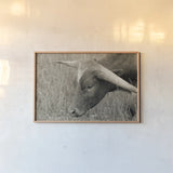 In the Carolina Fields by Nathan Larson. shown as a paper print in a natural frame. Available as a archival giclee rolled canvas, fine art paper, or poster print. SKU 99205i.