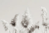 In the Wind I by Nathan Larson. SKU 79426i. Archival Giclee Fine art print for wall decor.