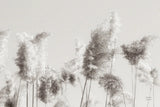 In the Wind II by Nathan Larson. SKU 79427i. Archival Giclee Fine art print for wall decor.