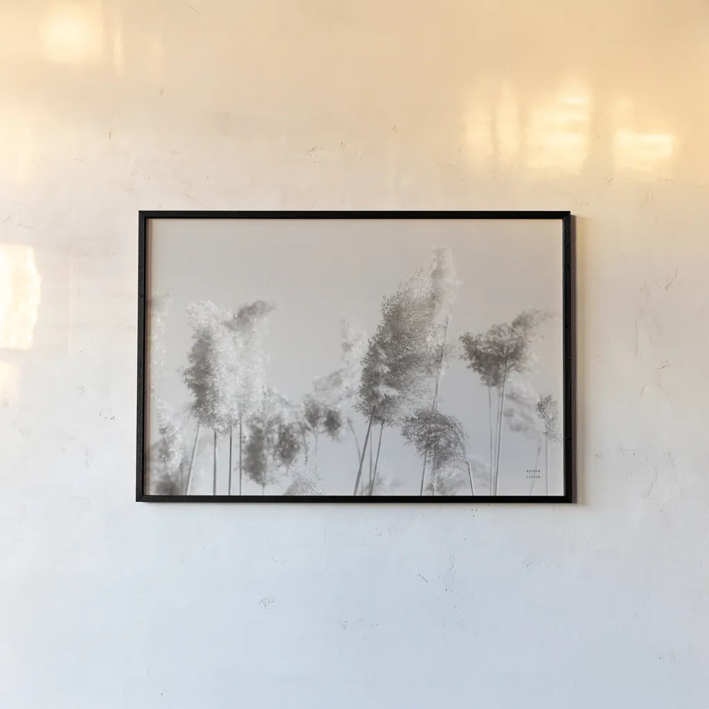 In the Wind II by Nathan Larson. shown as a paper print in a black flame. Available as a archival giclee rolled canvas, fine art paper, or poster print. SKU 79427i.