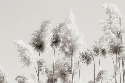 In the Wind III by Nathan Larson. SKU 79428i. Archival Giclee Fine art print for wall decor.