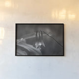 Indiana Dunes Flora I by Nathan Larson. shown as a paper print in a black flame. Available as a archival giclee rolled canvas, fine art paper, or poster print. SKU 85805i.