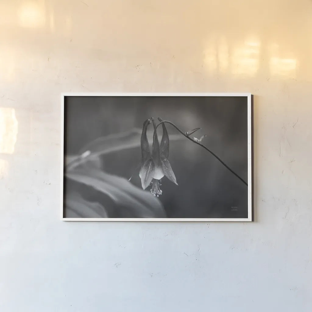 Indiana Dunes Flora I by Nathan Larson. shown as a paper print in a white frame. Available as a archival giclee rolled canvas, fine art paper, or poster print. SKU 85805i.