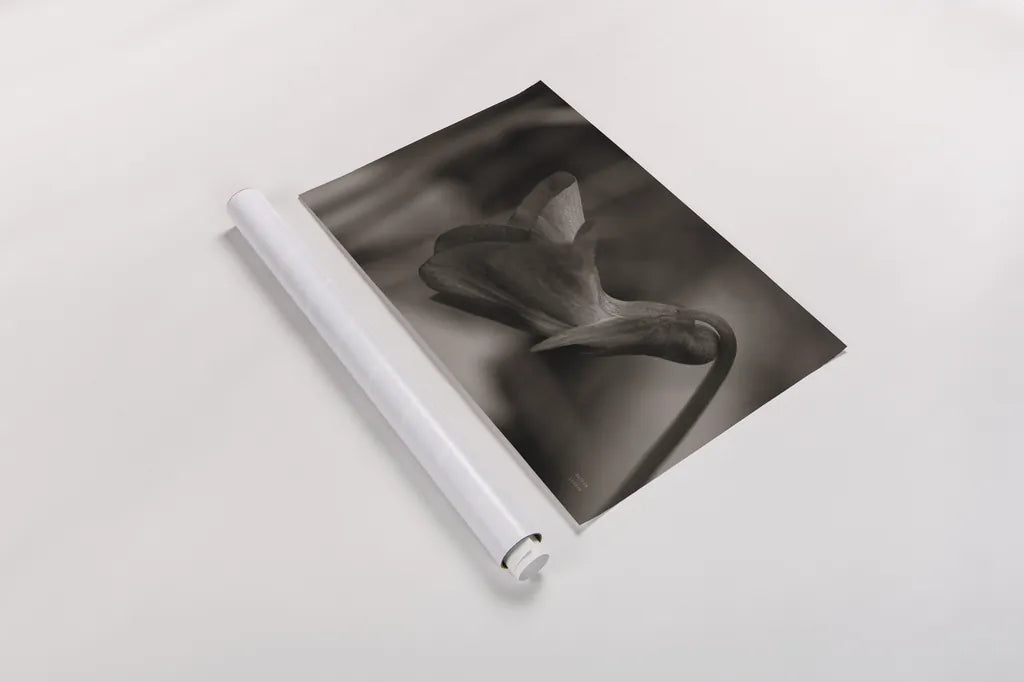 Indiana Dunes Flora II by Nathan Larson. shown as a rolled paper print. Available as archival giclee rolled canvas, fine art paper, or poster print. SKU 85806i.