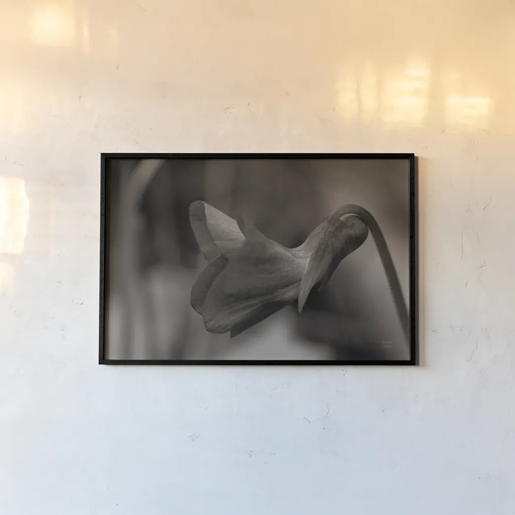 Indiana Dunes Flora II by Nathan Larson. shown as a paper print in a black flame. Available as a archival giclee rolled canvas, fine art paper, or poster print. SKU 85806i.