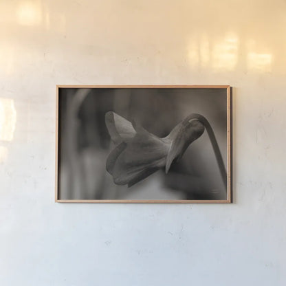 Indiana Dunes Flora II by Nathan Larson. shown as a paper print in a natural frame. Available as a archival giclee rolled canvas, fine art paper, or poster print. SKU 85806i.