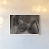 Indiana Dunes Flora II by Nathan Larson. shown as a paper print in a white frame. Available as a archival giclee rolled canvas, fine art paper, or poster print. SKU 85806i.