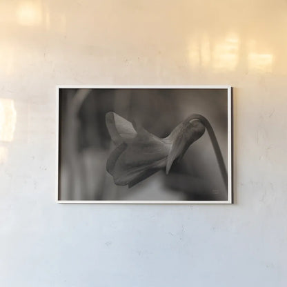 Indiana Dunes Flora II by Nathan Larson. shown as a paper print in a white frame. Available as a archival giclee rolled canvas, fine art paper, or poster print. SKU 85806i.