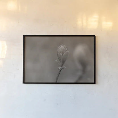 Indiana Dunes Flora III by Nathan Larson. shown as a paper print in a black flame. Available as a archival giclee rolled canvas, fine art paper, or poster print. SKU 85807i.