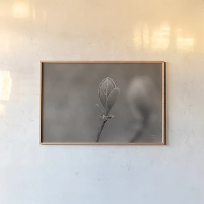 Indiana Dunes Flora III by Nathan Larson. shown as a paper print in a natural frame. Available as a archival giclee rolled canvas, fine art paper, or poster print. SKU 85807i.