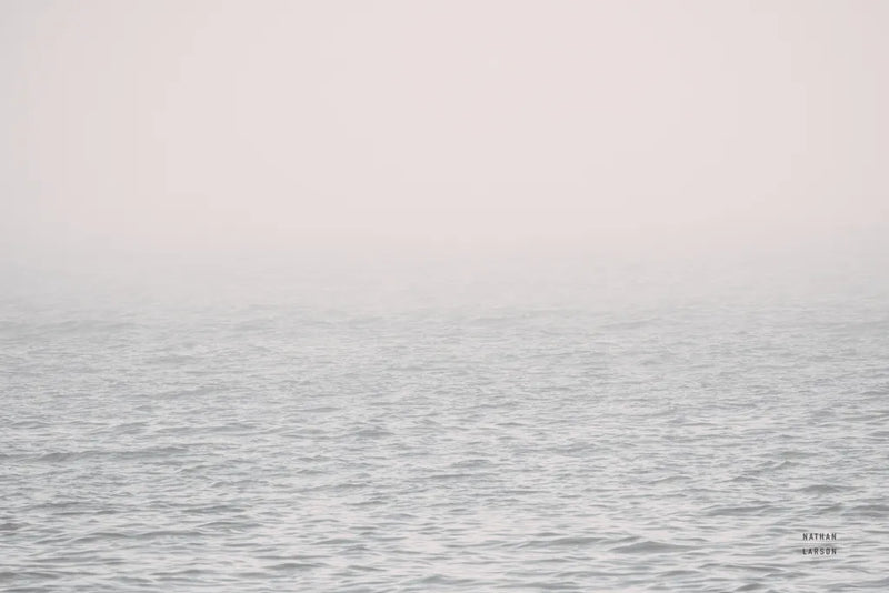 Into the Pacific by Nathan Larson. SKU 97437i. Archival Giclee Fine art print for wall decor.