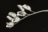 Invasive Beauty Redux BW I by Nathan Larson. SKU 103186i. Archival Giclee Fine art print for wall decor.