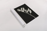 Invasive Beauty Redux BW I by Nathan Larson. shown as a rolled paper print. Available as archival giclee rolled canvas, fine art paper, or poster print. SKU 103186i.