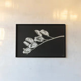 Invasive Beauty Redux BW I by Nathan Larson. shown as a paper print in a black flame. Available as a archival giclee rolled canvas, fine art paper, or poster print. SKU 103186i.