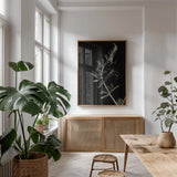 Invasive Beauty Redux BW II by Nathan Larson. shown as a print in a natural wood frame in a dining room. Available as a archival giclee rolled canvas, fine art paper, or poster print. SKU 103187h.