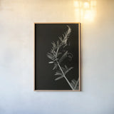 Invasive Beauty Redux BW II by Nathan Larson. shown as a paper print in a natural frame. Available as a archival giclee rolled canvas, fine art paper, or poster print. SKU 103187h.