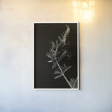 Invasive Beauty Redux BW II by Nathan Larson. shown as a paper print in a white frame. Available as a archival giclee rolled canvas, fine art paper, or poster print. SKU 103187h.