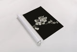 Invasive Beauty Redux BW III by Nathan Larson. shown as a rolled paper print. Available as archival giclee rolled canvas, fine art paper, or poster print. SKU 103188h.