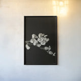 Invasive Beauty Redux BW III by Nathan Larson. shown as a paper print in a black flame. Available as a archival giclee rolled canvas, fine art paper, or poster print. SKU 103188h.
