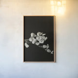 Invasive Beauty Redux BW III by Nathan Larson. shown as a paper print in a natural frame. Available as a archival giclee rolled canvas, fine art paper, or poster print. SKU 103188h.