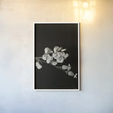 Invasive Beauty Redux BW III by Nathan Larson. shown as a paper print in a white frame. Available as a archival giclee rolled canvas, fine art paper, or poster print. SKU 103188h.