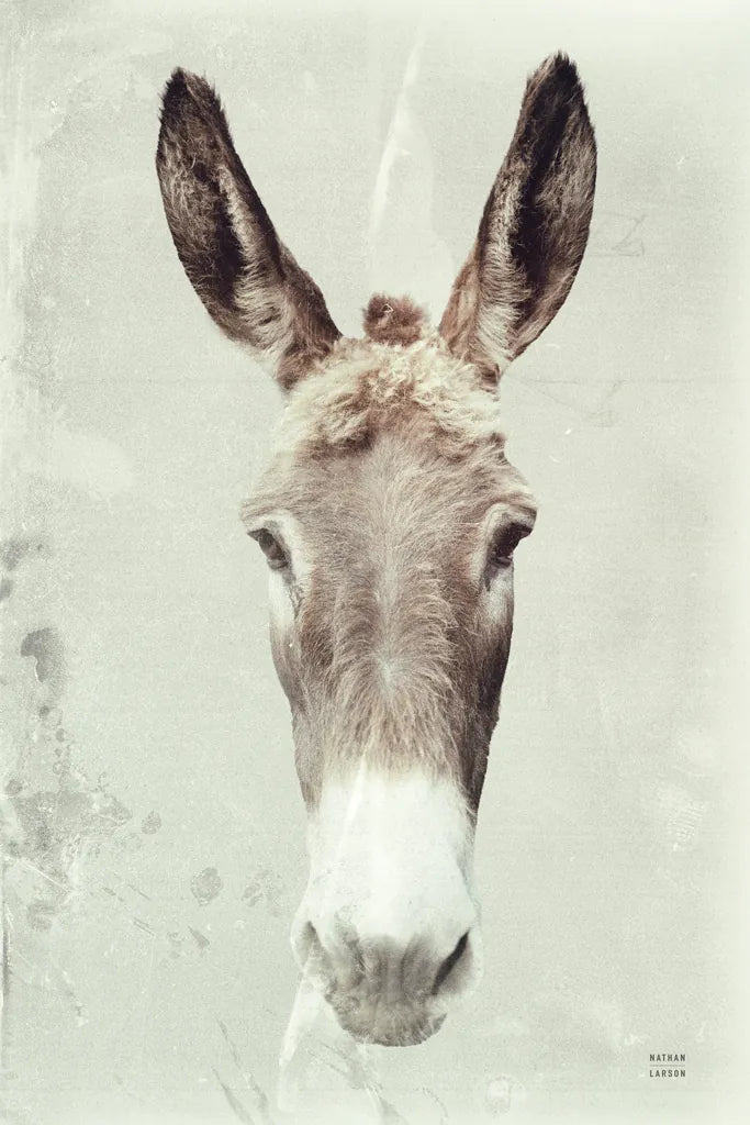 Jack by Nathan Larson. SKU 99955h. Archival Giclee Fine art print for wall decor.