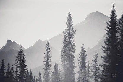 Kananaskis Country by Nathan Larson. SKU 94836i. Archival Giclee Fine art print for wall decor.