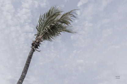 Key West by Nathan Larson. SKU 97888i. Archival Giclee Fine art print for wall decor.