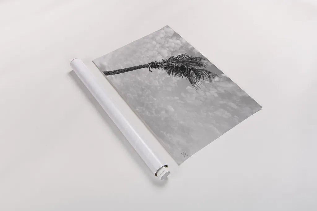 Key West Black and White by Nathan Larson. shown as a rolled paper print. Available as archival giclee rolled canvas, fine art paper, or poster print. SKU 97889i.