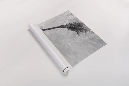 Key West Black and White by Nathan Larson. shown as a rolled paper print. Available as archival giclee rolled canvas, fine art paper, or poster print. SKU 97889i.