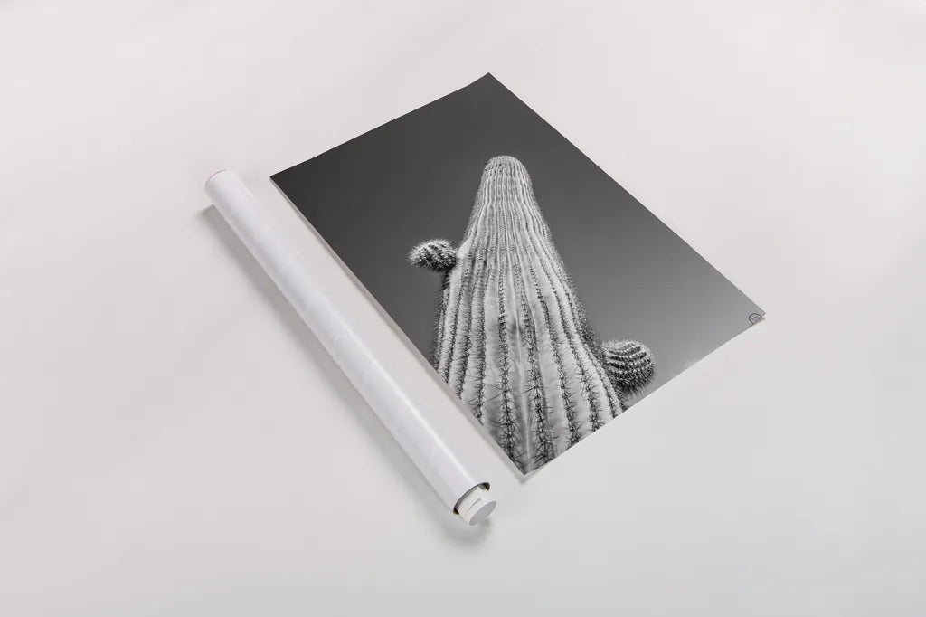 King I v2 by Nathan Larson. shown as a rolled paper print. Available as archival giclee rolled canvas, fine art paper, or poster print. SKU 80646h.