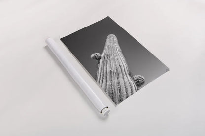 King I v2 by Nathan Larson. shown as a rolled paper print. Available as archival giclee rolled canvas, fine art paper, or poster print. SKU 80646h.