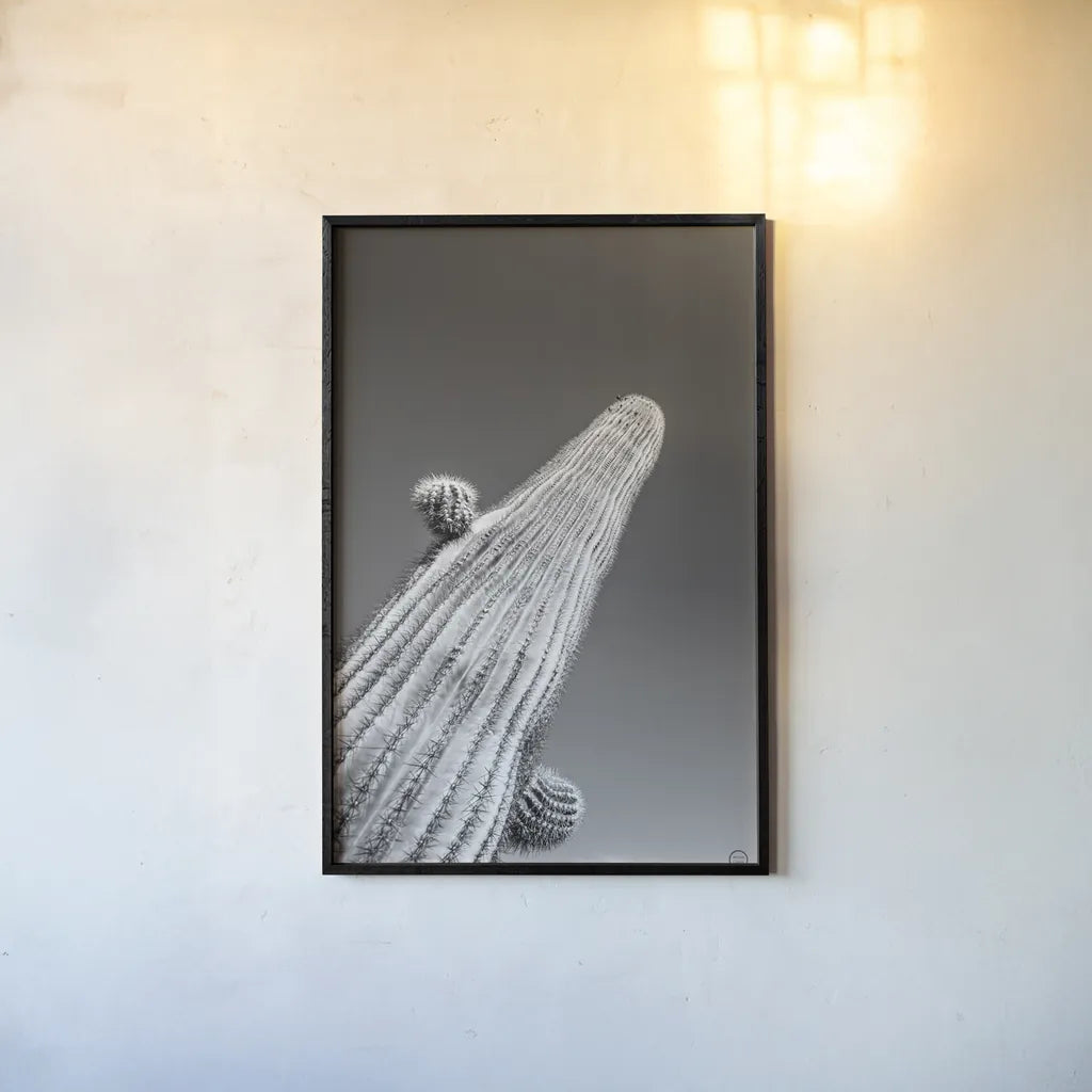 King I v2 by Nathan Larson. shown as a paper print in a black flame. Available as a archival giclee rolled canvas, fine art paper, or poster print. SKU 80646h.