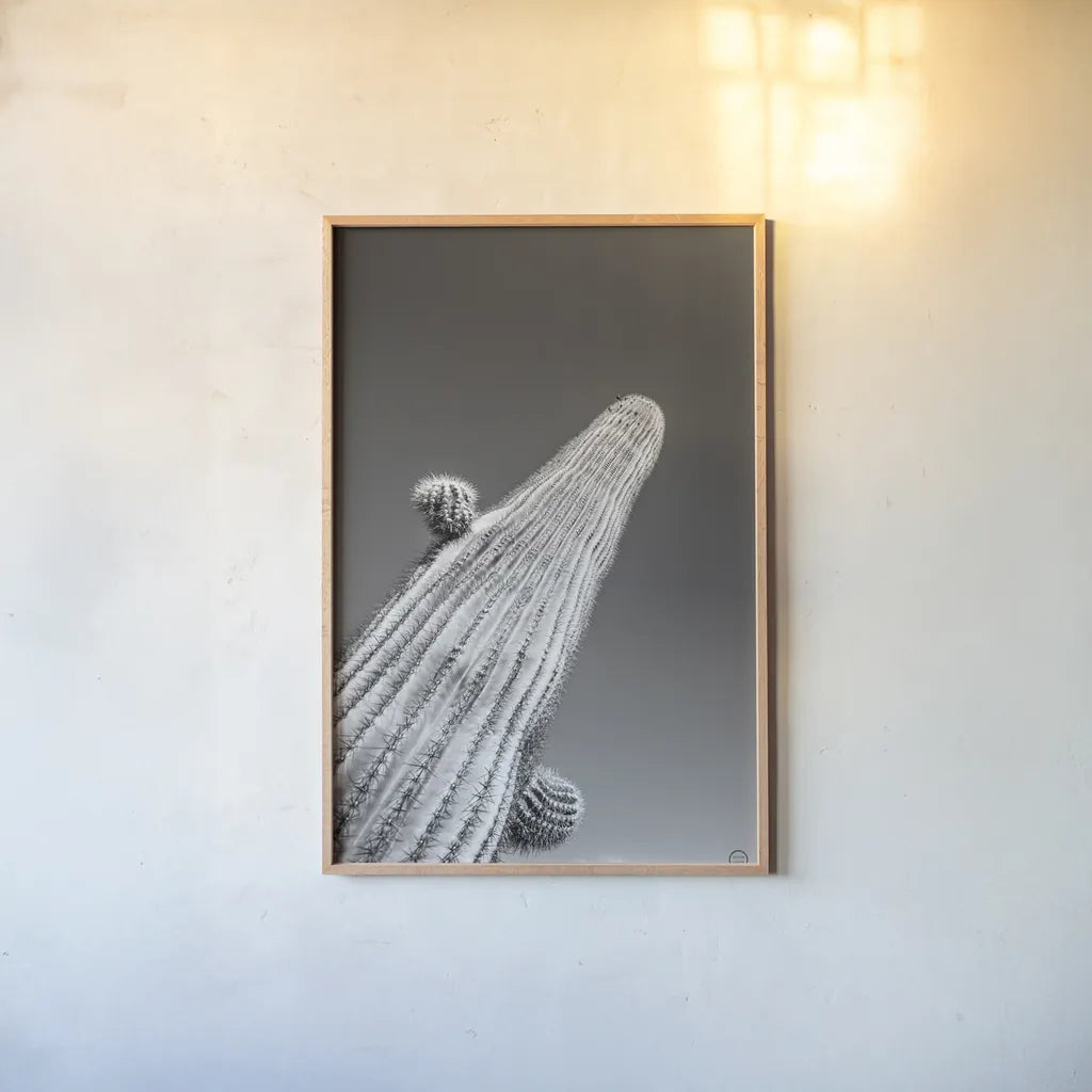 King I v2 by Nathan Larson. shown as a paper print in a natural frame. Available as a archival giclee rolled canvas, fine art paper, or poster print. SKU 80646h.