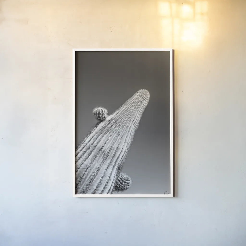 King I v2 by Nathan Larson. shown as a paper print in a white frame. Available as a archival giclee rolled canvas, fine art paper, or poster print. SKU 80646h.