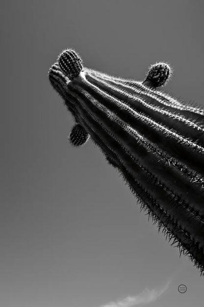 King II v2 by Nathan Larson. SKU 80647h. Archival Giclee Fine art print for wall decor.