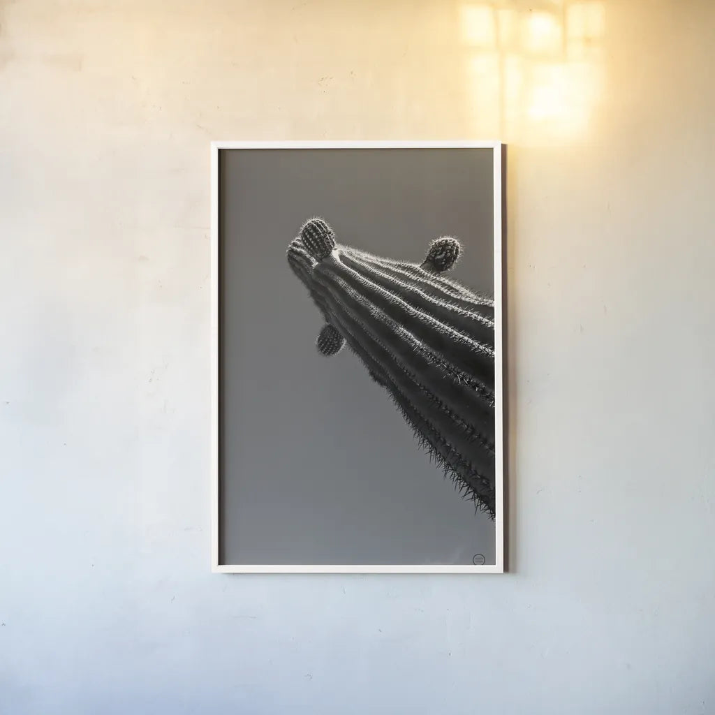 King II v2 by Nathan Larson. shown as a paper print in a white frame. Available as a archival giclee rolled canvas, fine art paper, or poster print. SKU 80647h.