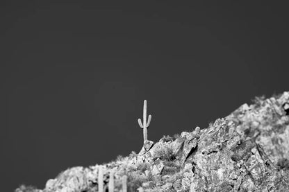 King of the Mountain by Nathan Larson. SKU 90442i. Archival Giclee Fine art print for wall decor.